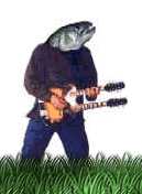 Trout