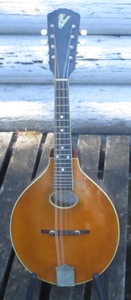 Gibson A1
