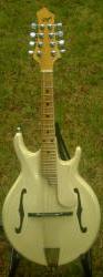 Currently in stock: 
						Rigel Classic S,	  Rigel S-100, Skip Kelley F5,  2 Gibson EM200s