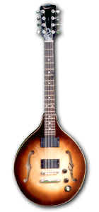 Andy_Viccars_mandolin.jpg (23747 bytes)