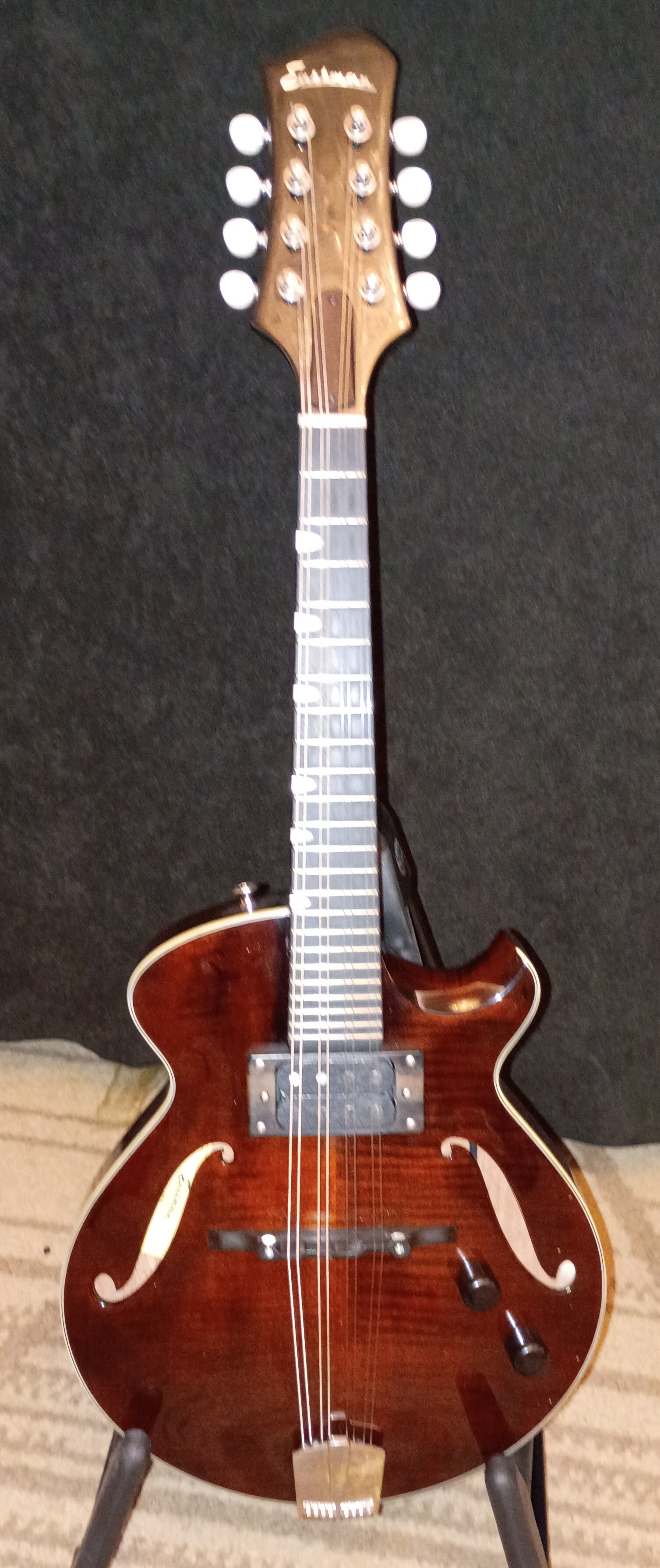 Eastman ER-M El Rey
