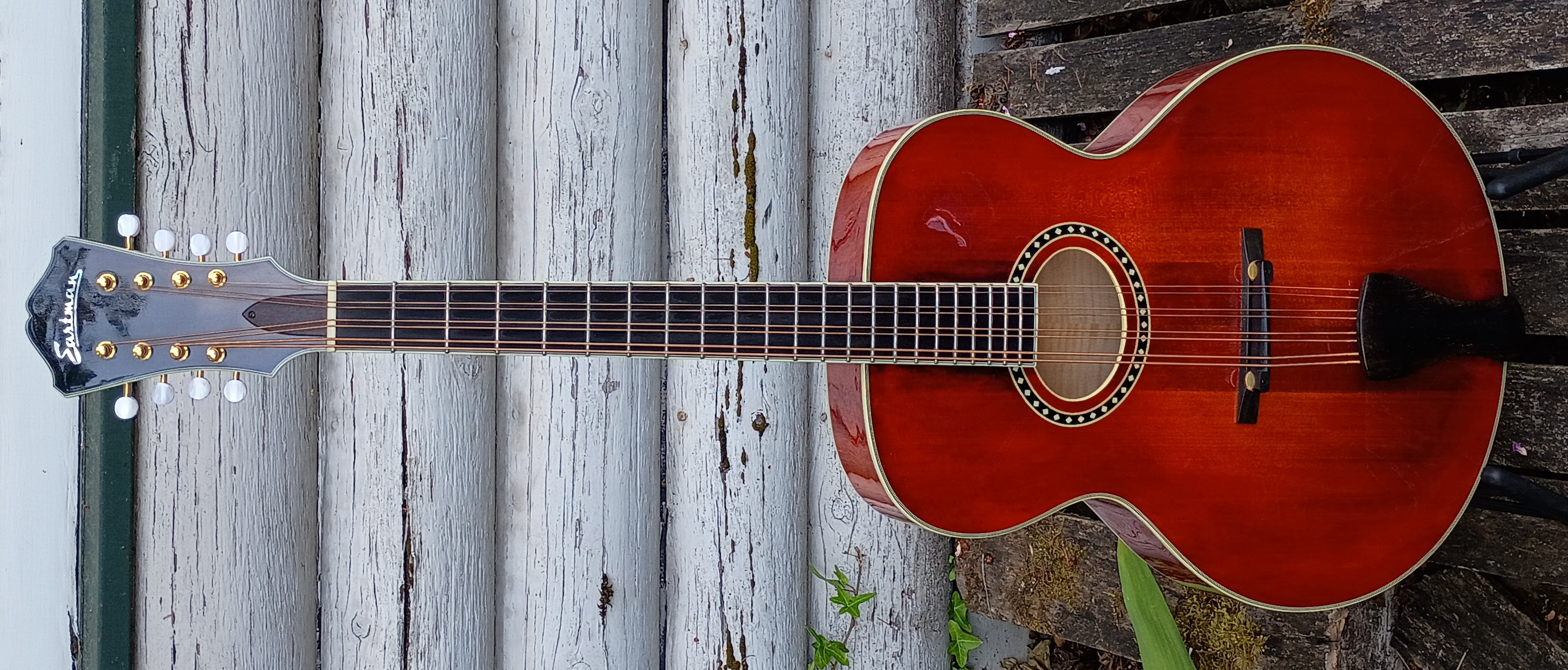 Eastman mandocello