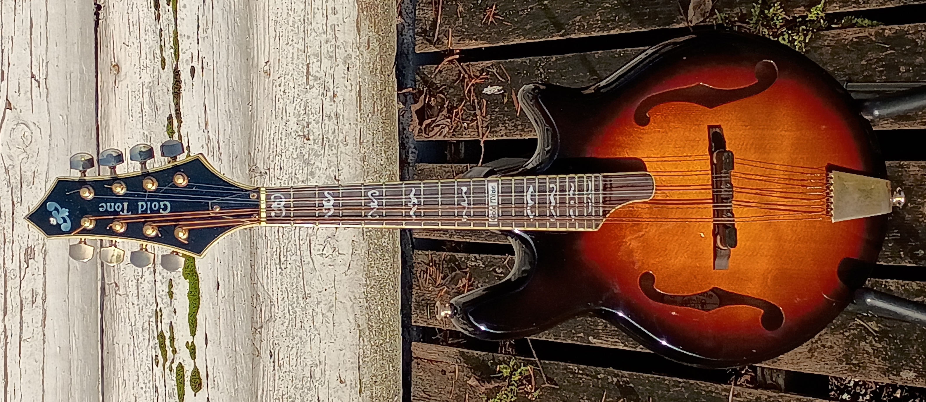 GoldTone GM110