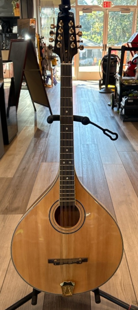 Gold Tone octave mandolin