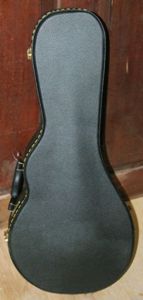 Guardian case