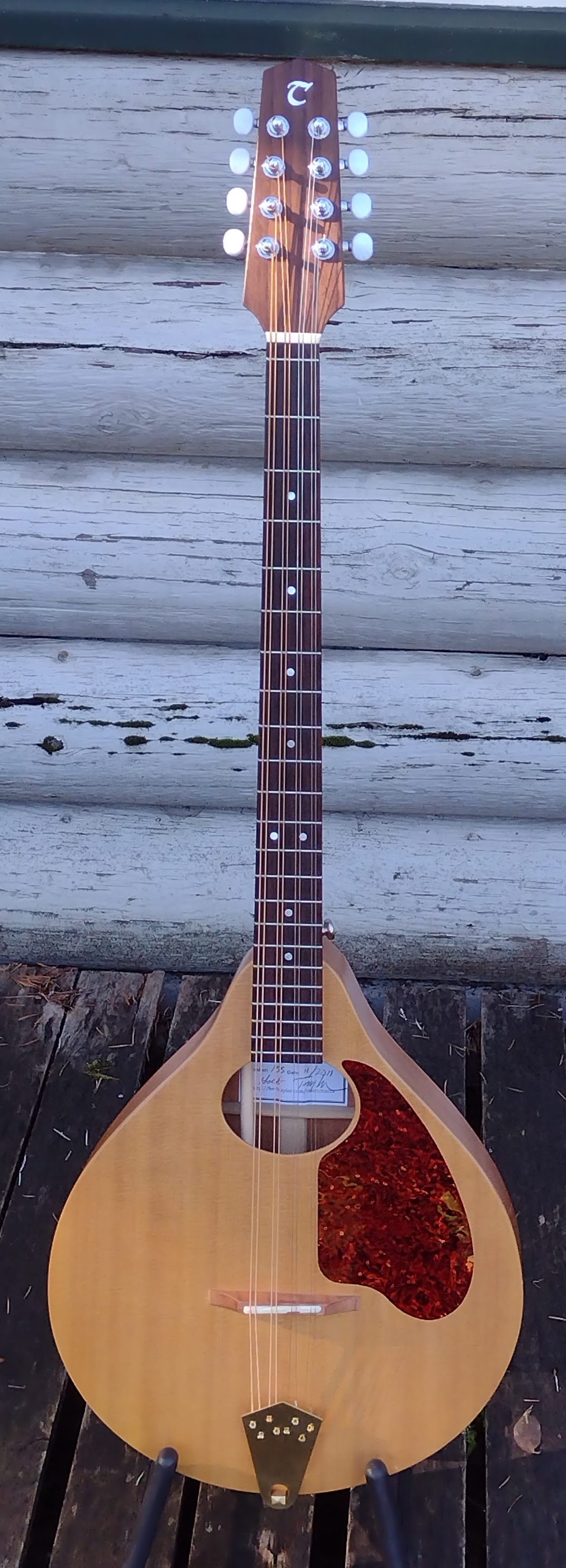 Herb Taylor bouzouki