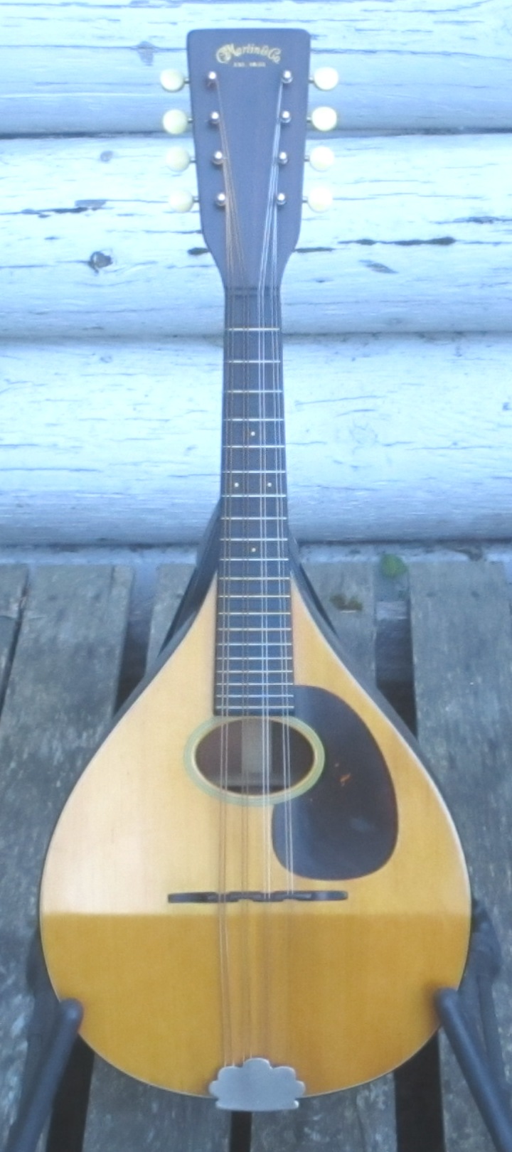 Martin