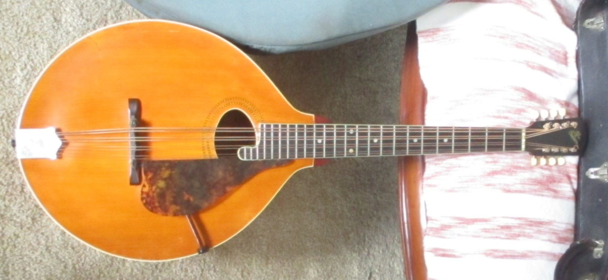 K1 mandocello