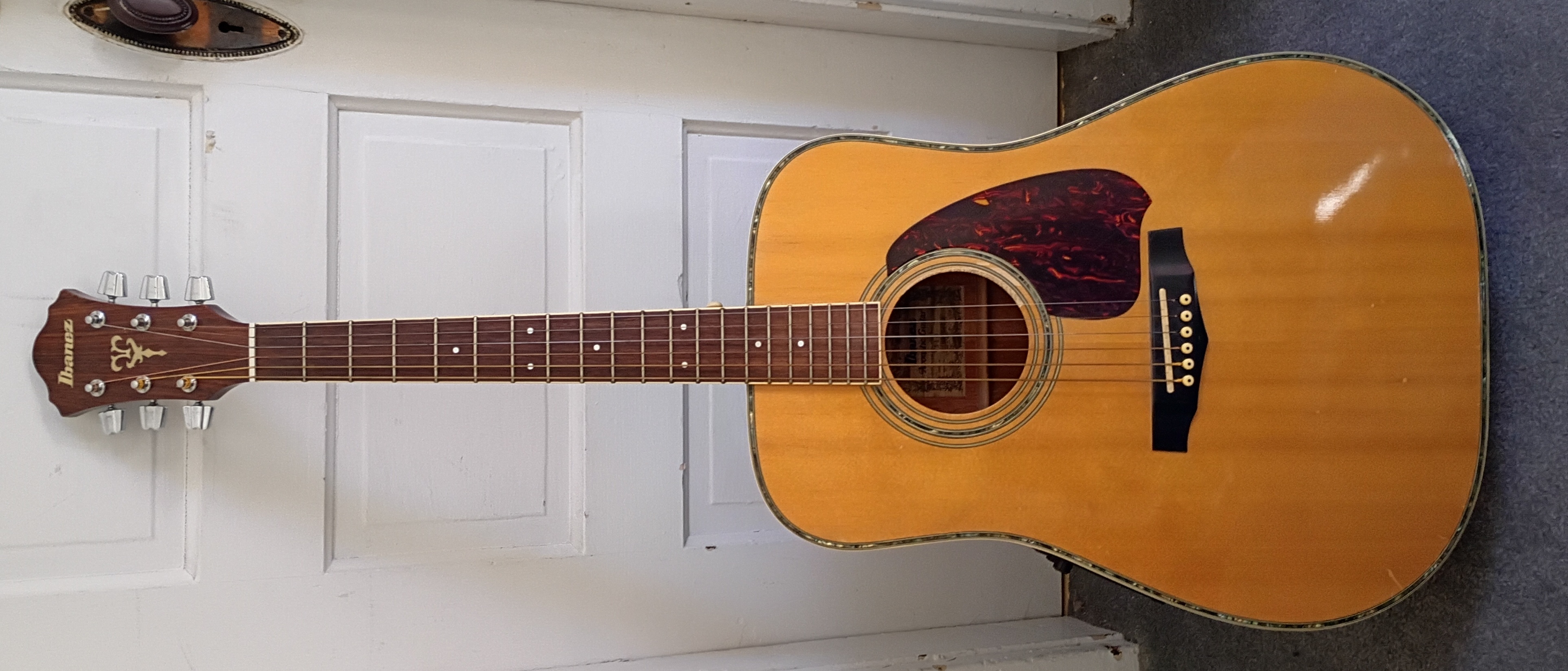 Ibanez V310