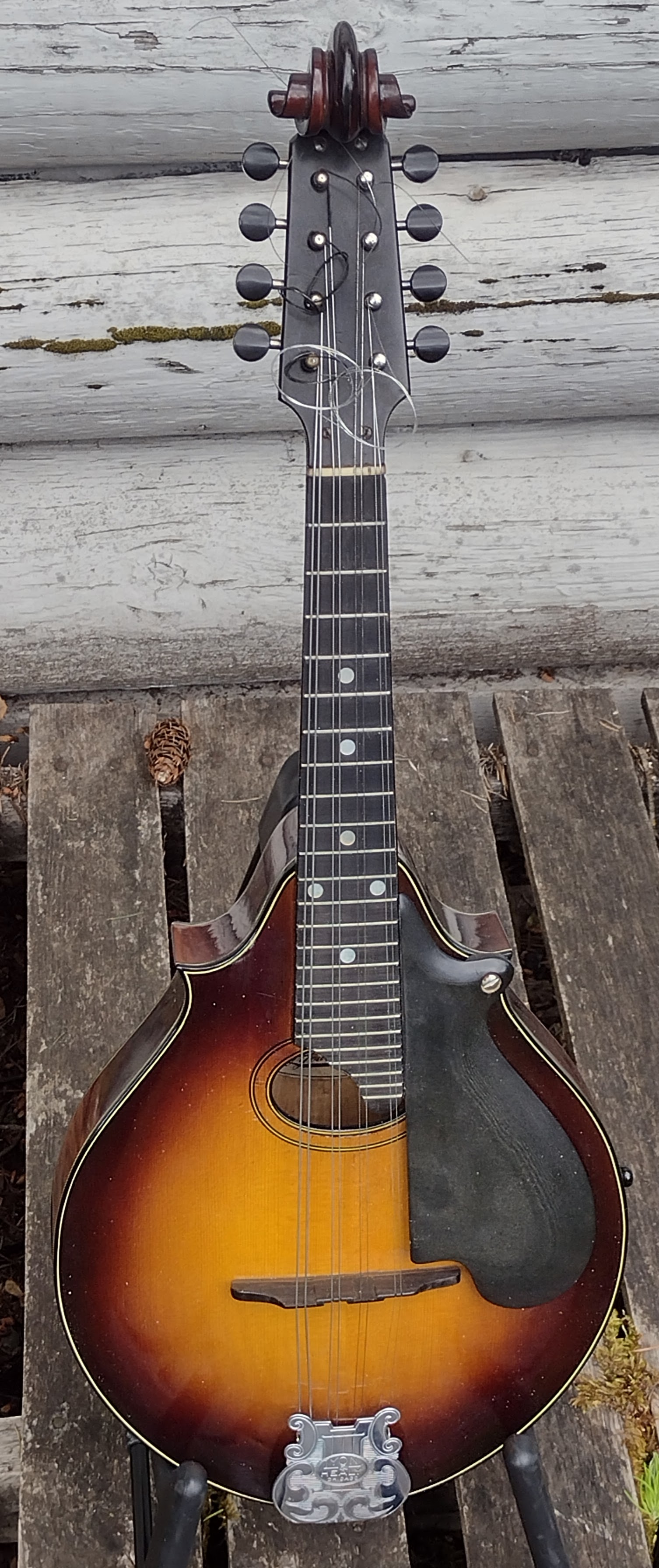 Lyon & Healy A, sunburst