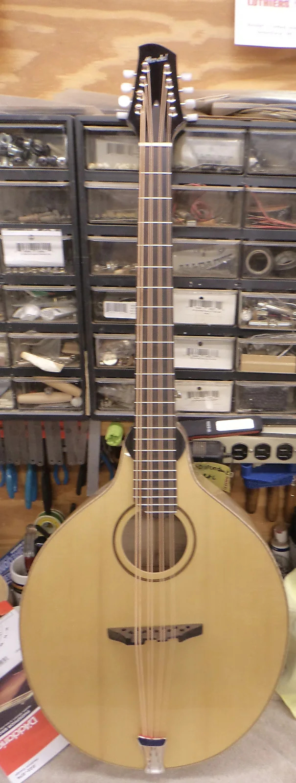 Mendel mandocello